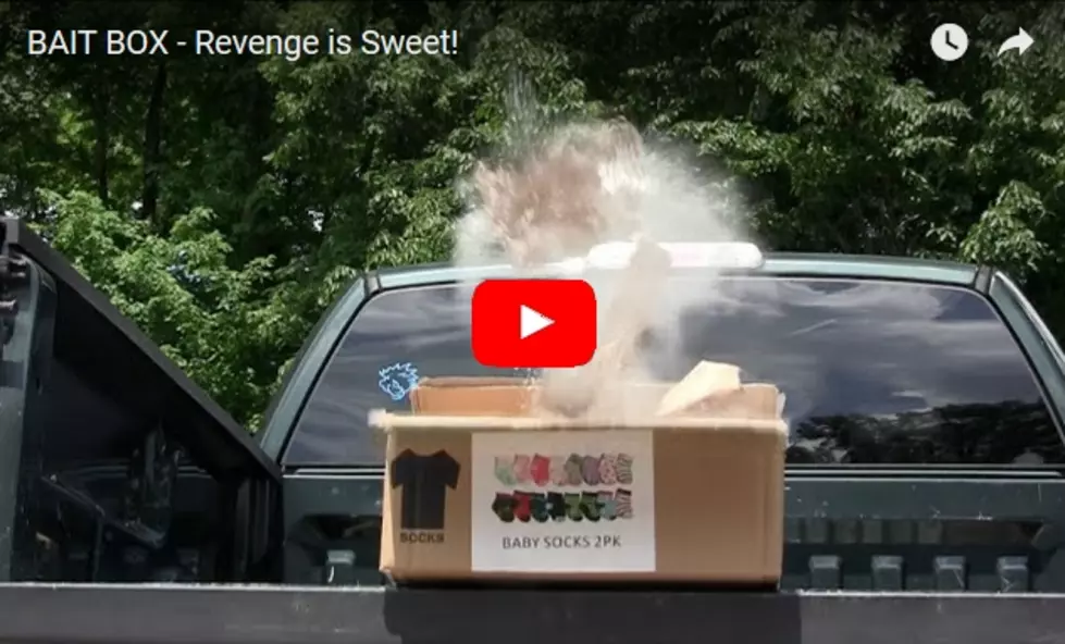 Package Thief Gets What&#8217;s Coming to Him [WATCH]