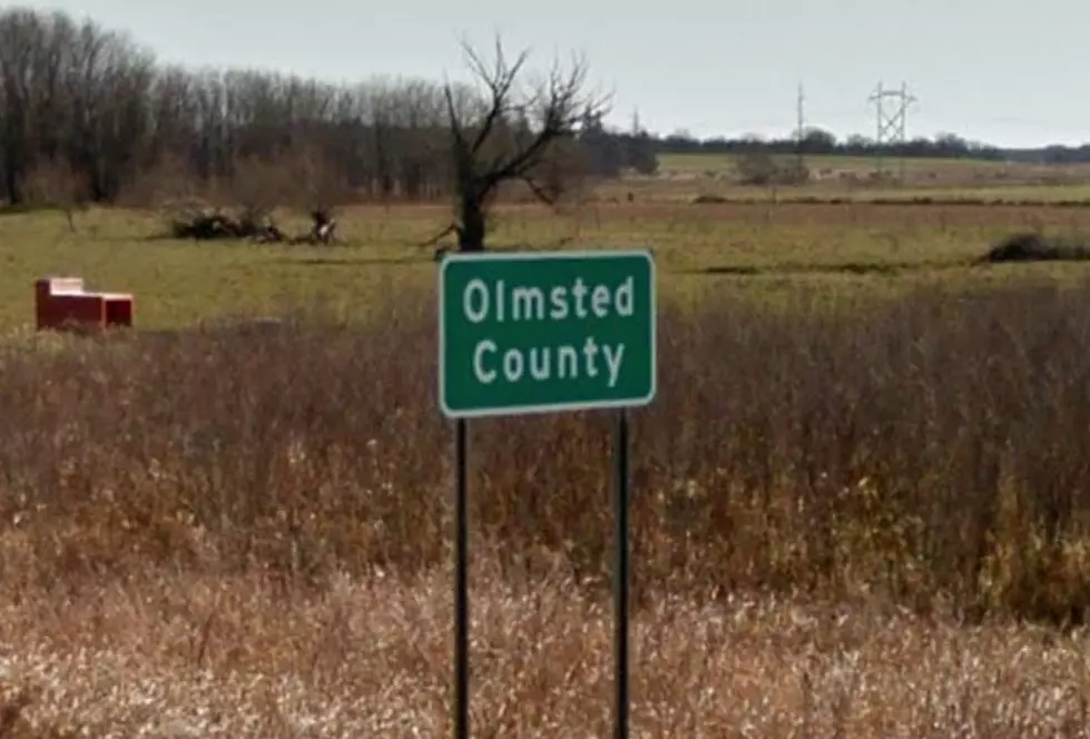 What Percentage of Olmsted County Residents Were Actually Born in Minnesota?