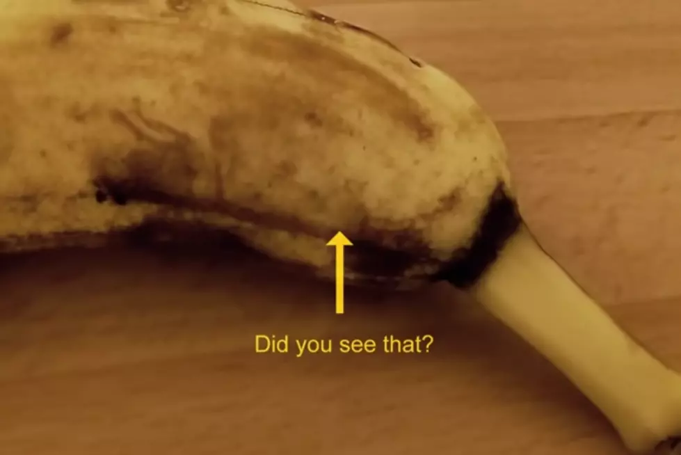 Spider Bursts Out Of Banana