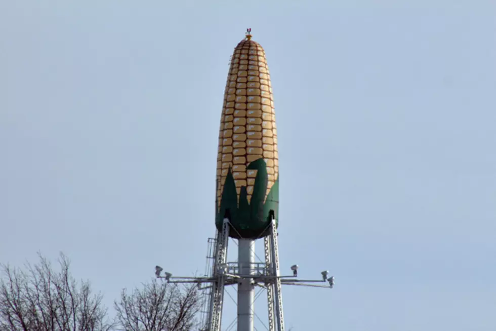 Here’s How Much of Your Taxes Will Go Toward Saving Rochester’s Corn Cob Tower