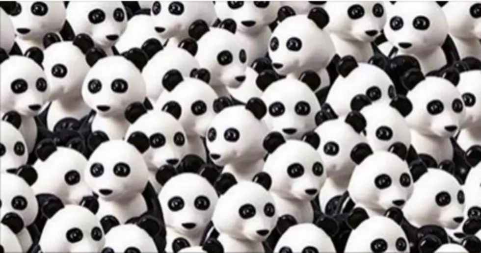 Can You Find the Hidden Lego Dog Among the Pandas?!