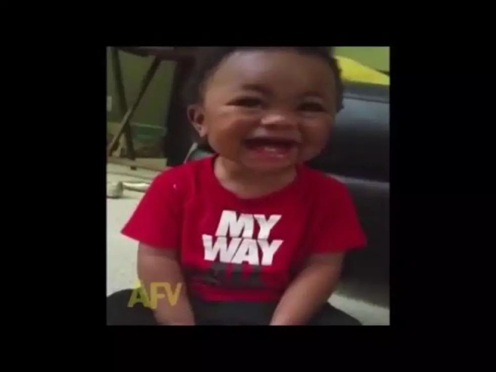 The Word Donkey Cracks This Baby Up