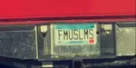 51 Minnesota License Plates Flagged