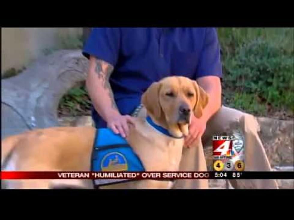 Disabled Veteran Humiliated After People Question His Need For His Service Dog