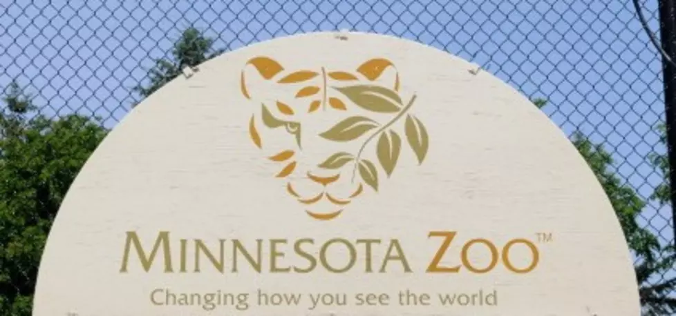 Adults Only Overnight Party at Minnesota Zoo