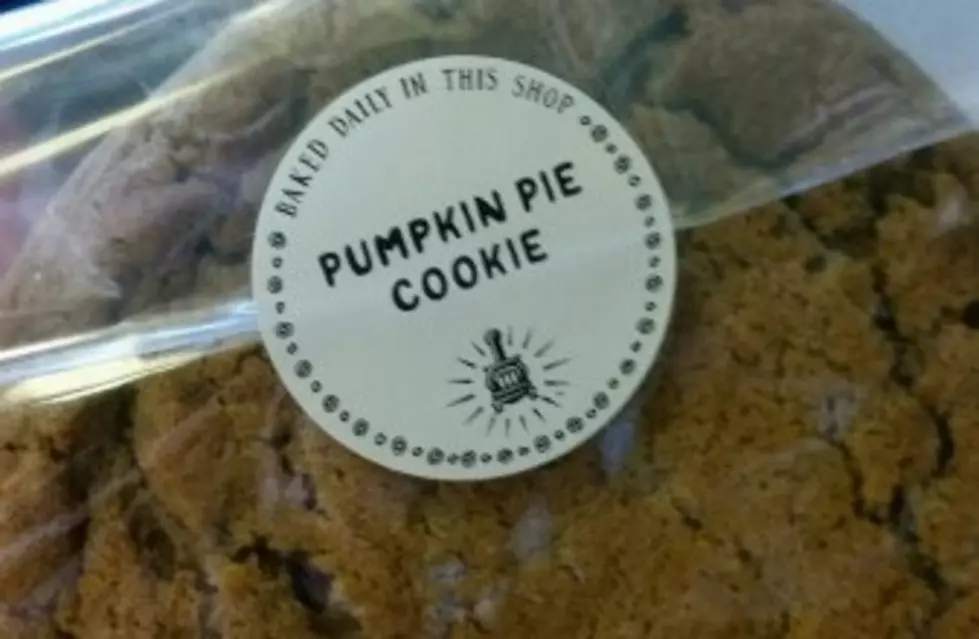 Samm Continues Her Pumpkin Mission &#8211; Pumpkin Pie Cookie