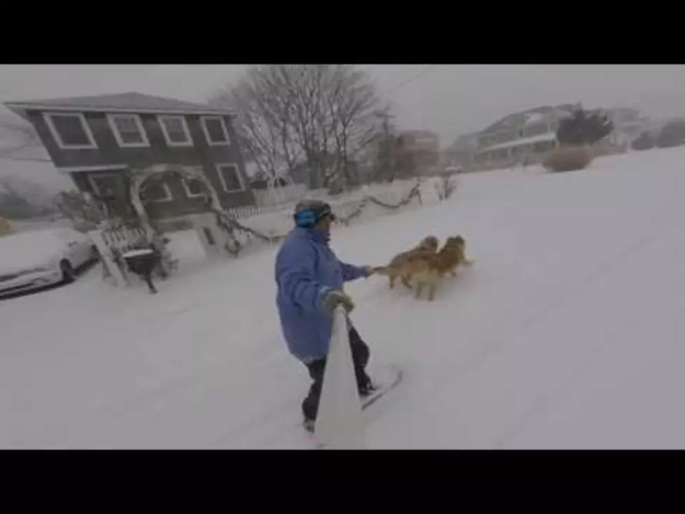 You&#8217;ve Heard of Dog Sledding &#8211; Well How About Dog Snow Boarding?