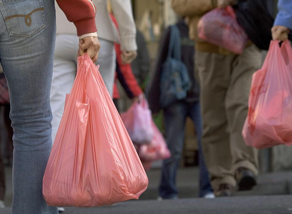 Should Rochester Ban Plastic Bags, Too? &#8211; [POLL]