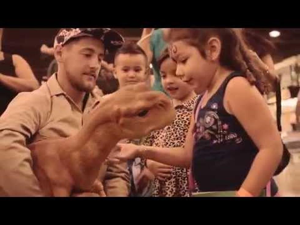 Dinosaurs Invade Olmsted County Fairgrounds