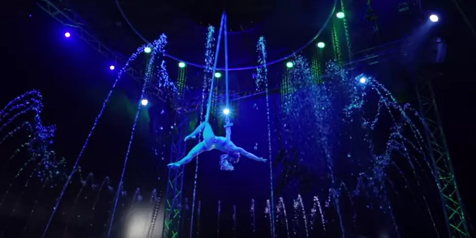 The Water Circus is Coming to Rochester!