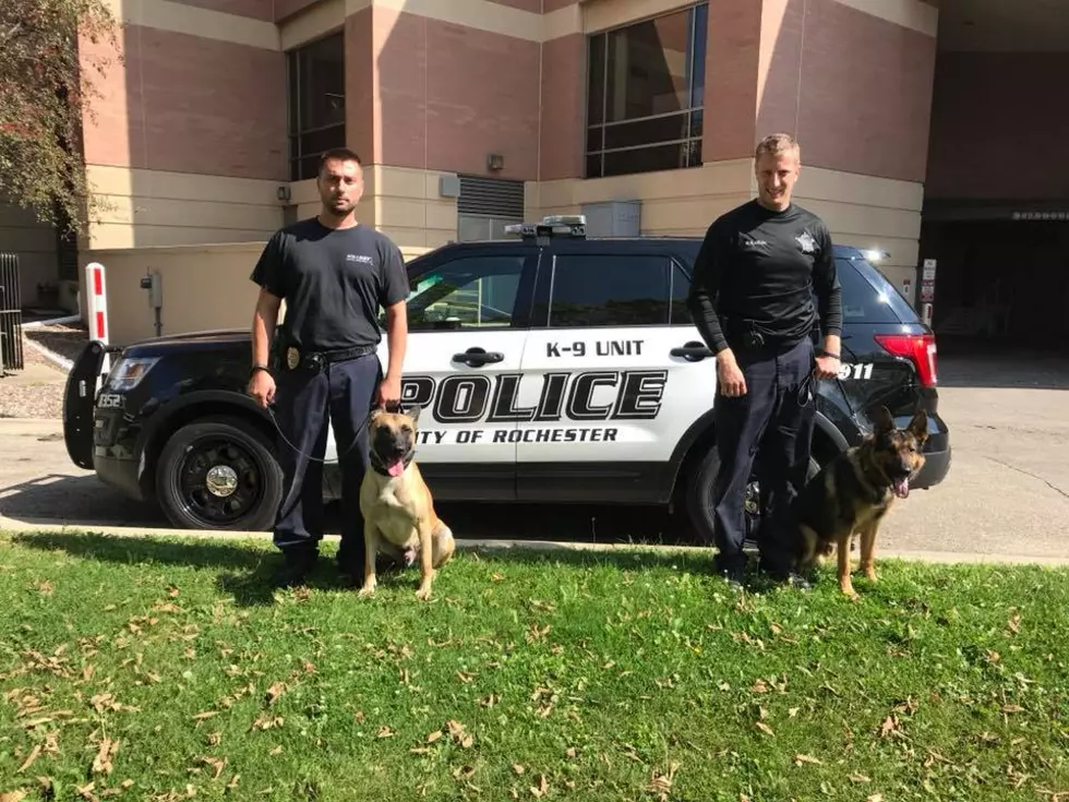 Rochester K-9’s to Compete Nationally
