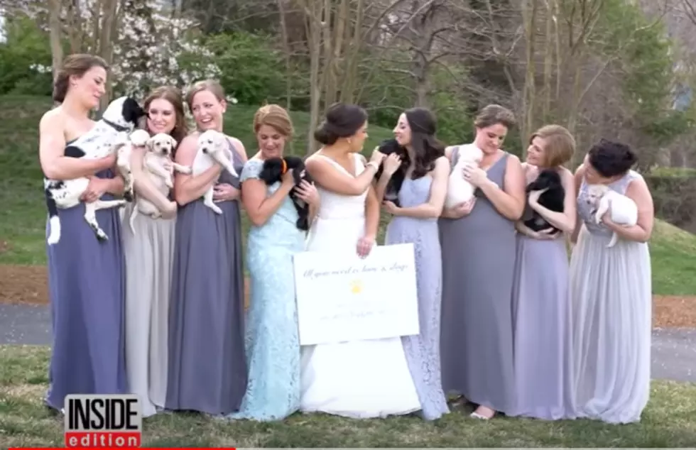 Midwest Knows Best &#8211; Puppies are Way Better Than Bouquets!