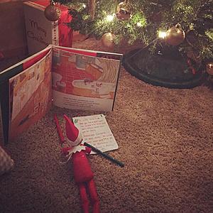 Danielle Teal Still Loves Elf On The Shelf