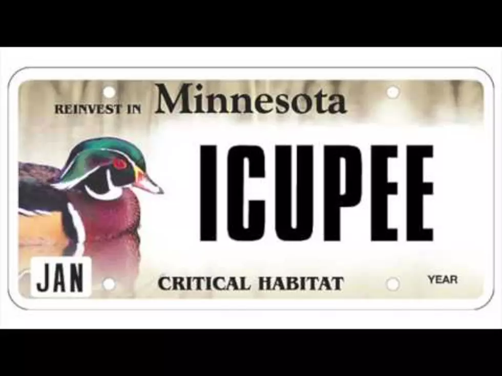 Here Are The Best Rejected Minnesota License Plates [VIDEO]