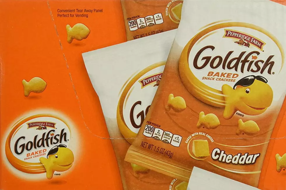 Salmonella Concerns Prompts Goldfish Crackers Recall