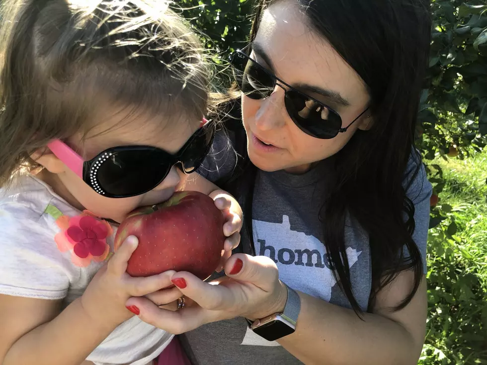 Where Can You Pick Your Own Apples in Southeast Minnesota?