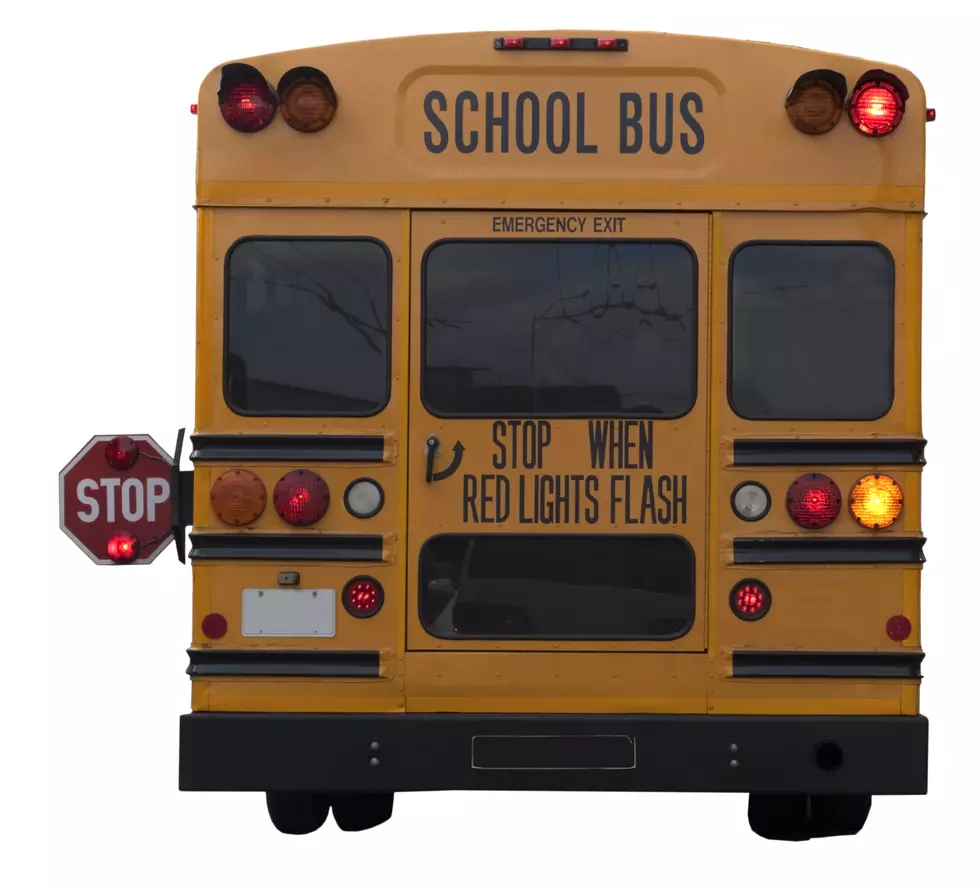 Why Is Stopping For a School Bus So Confusing For People?