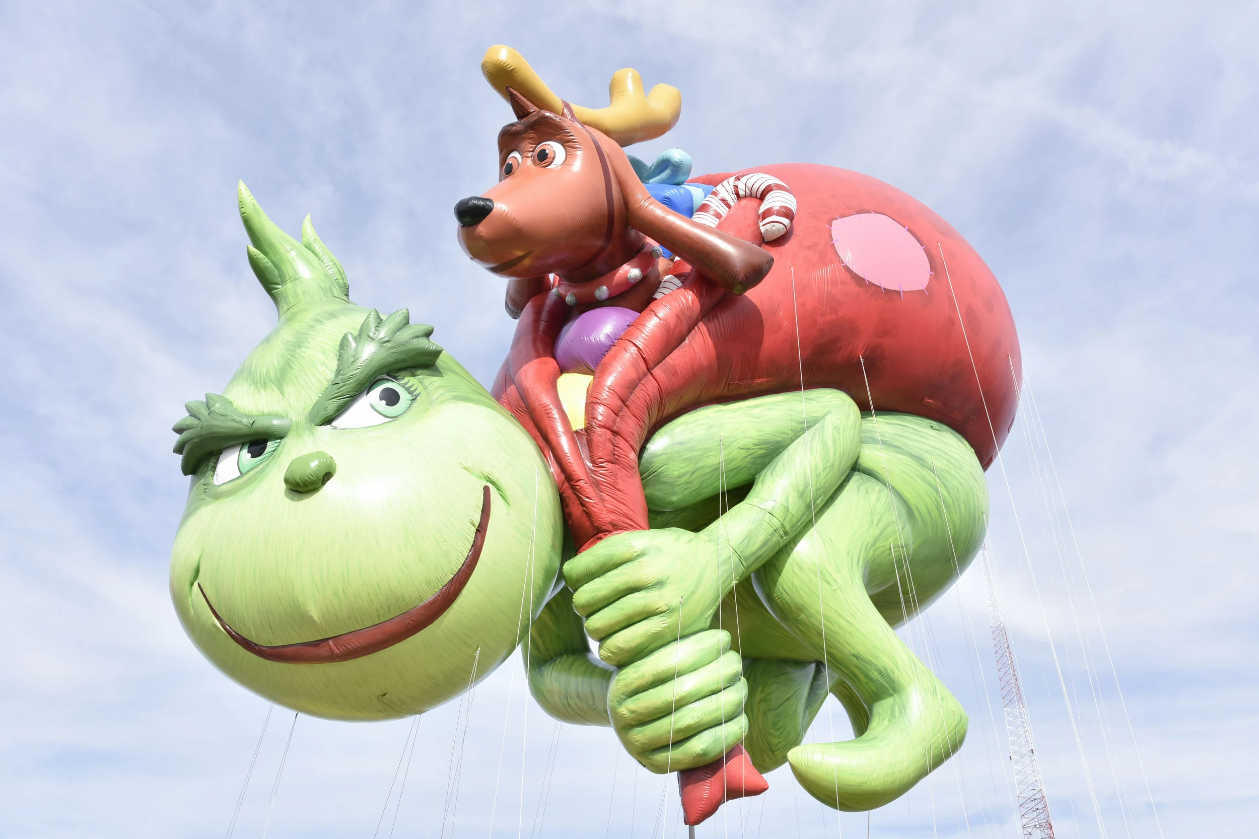 Meet The Grinch This Weekend in Rochester!