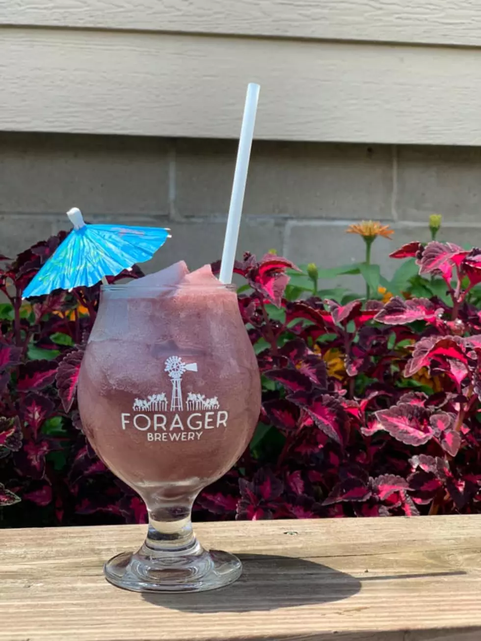 Another Rochester Brewery Joins &#8216;Summer of Purple&#8217; With Beer Slushie