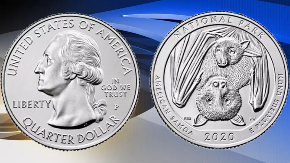 New Quarter Design Features a Fruit Bat