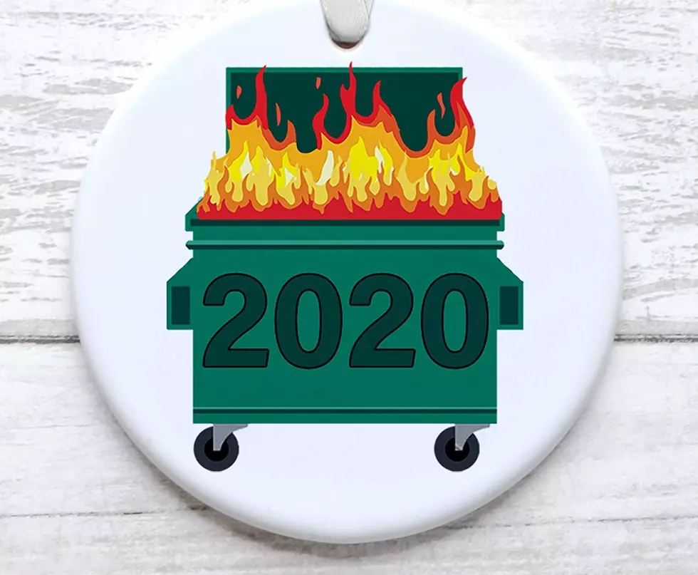 The Best 2020 Themed Christmas Ornaments For Your Tree