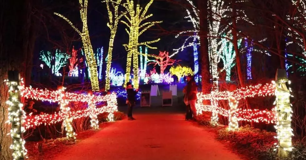 Minnesotans Flock Across the Border To Check Out Wisconsin Attraction With 10-Million Lights!