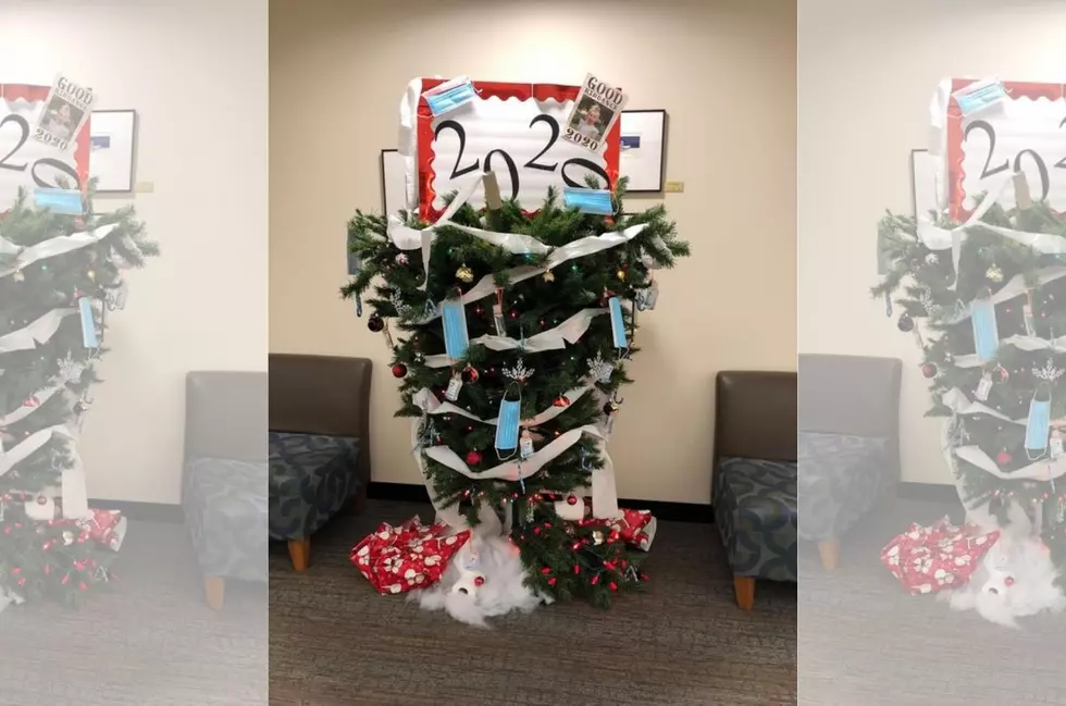 Minnesota College Decorated the Best Christmas Tree of 2020