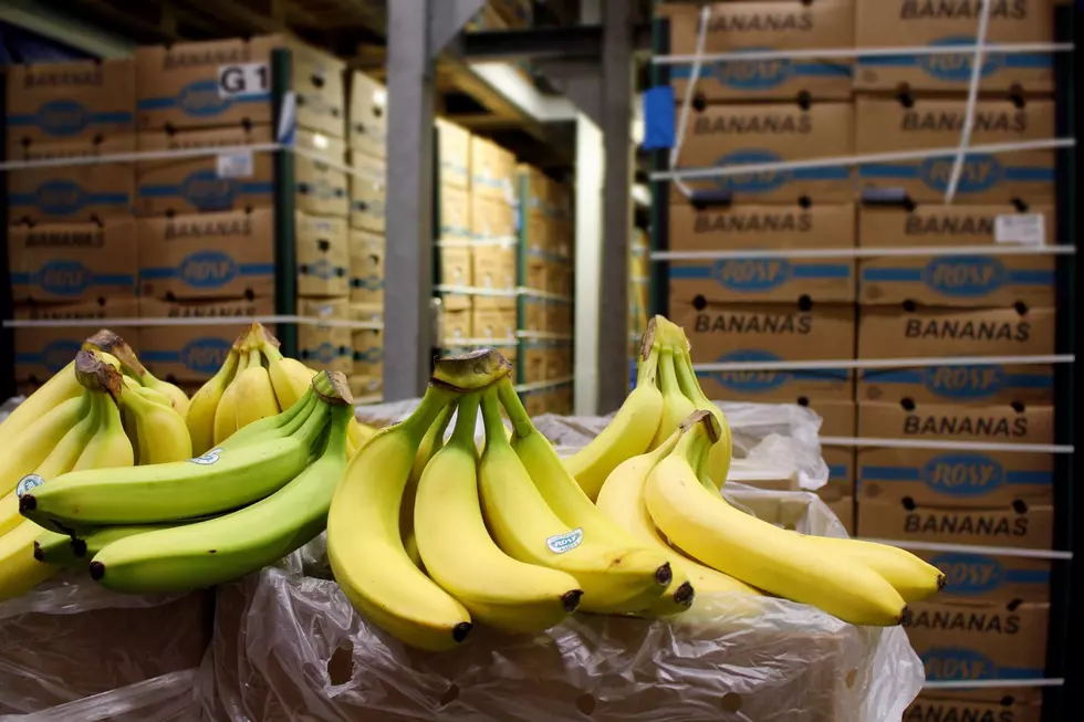 SNEAK PEEK: Inside Kwik Trip’s Banana Ripening Room