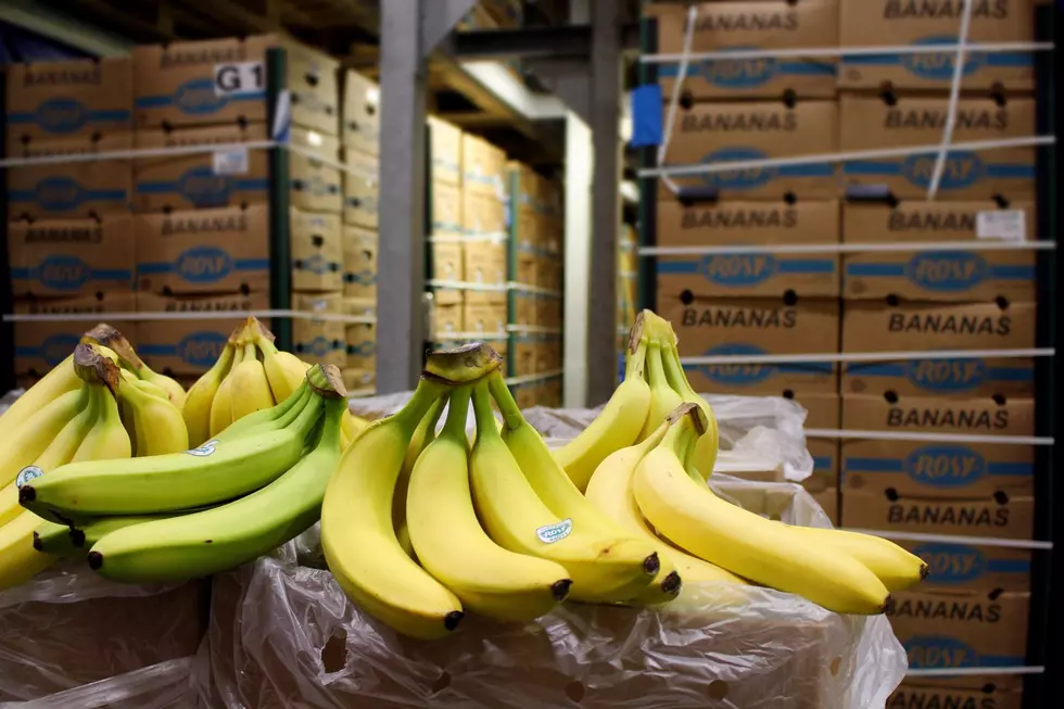 SNEAK PEEK: Inside Kwik Trip&#8217;s Banana Ripening Room