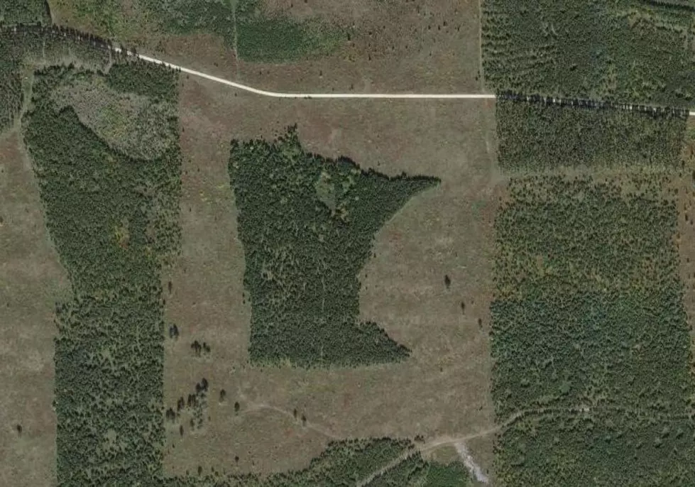 Forest Shaped Like Minnesota Hidden in Northern Minnesota Forest