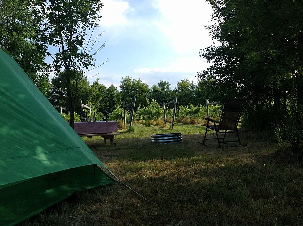 Experience a Unique Night of Camping at this Vineyard 75 Minutes from Rochester