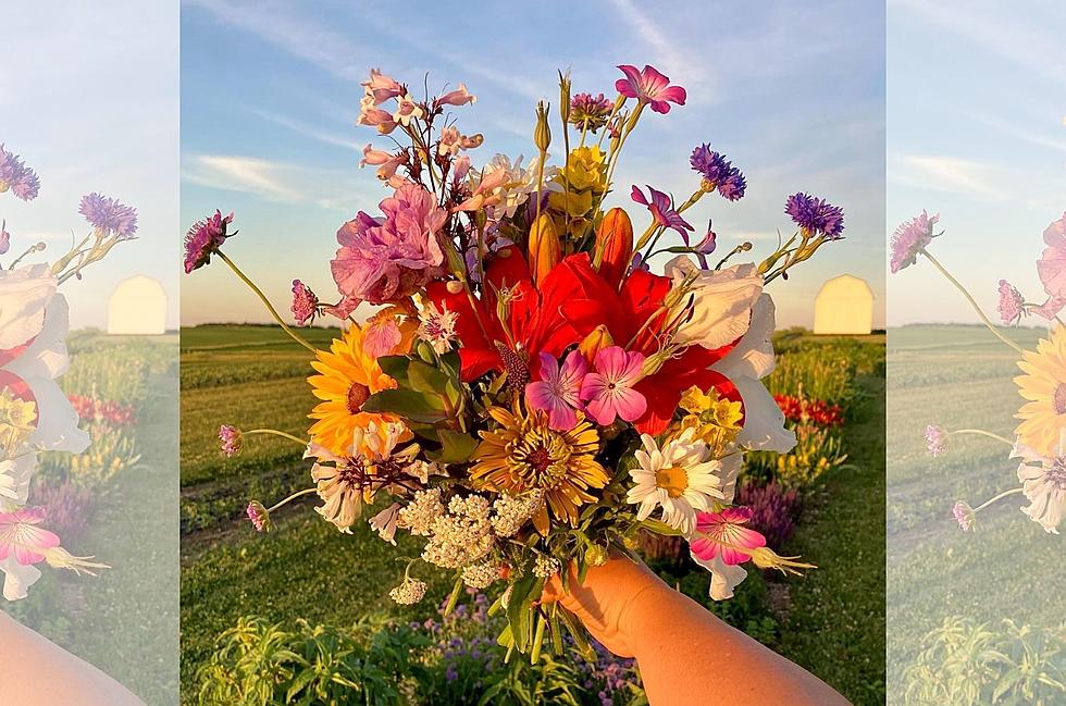 Pick Flowers on This Farm