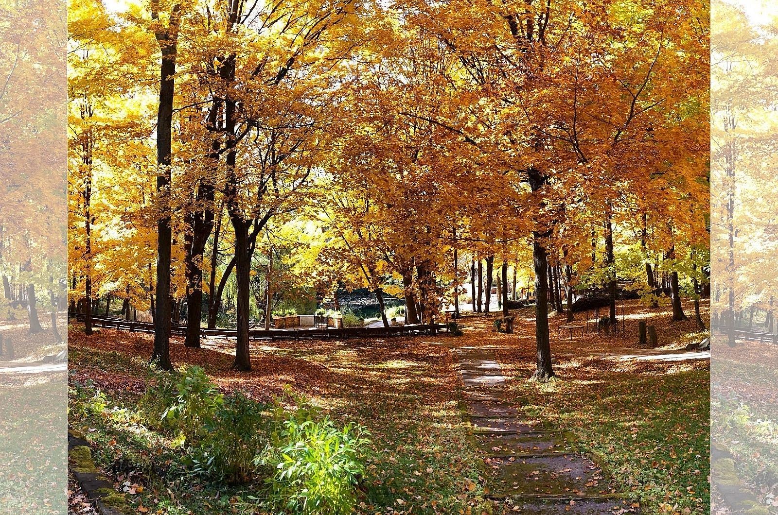 Wedding Venue Hidden In The Woods Is A Stunning Minnesota Spot