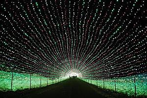 Holiday Attraction Lights Up Minnesota-Wisconsin Border with 12-Million Lights!