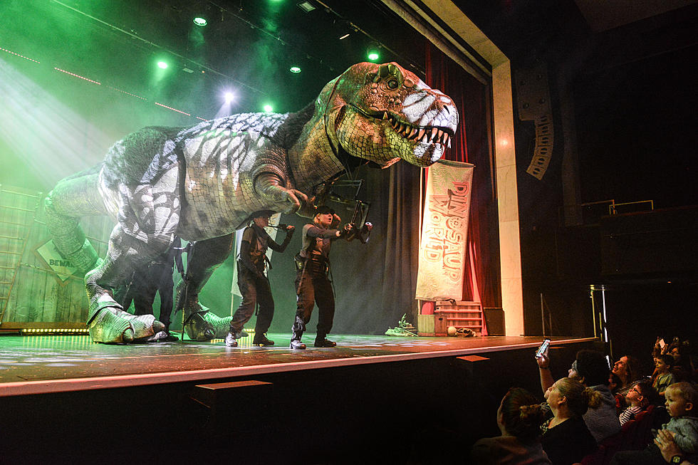 Dinosaurs Will Come To Life At Rochester&#8217;s Mayo Civic Center
