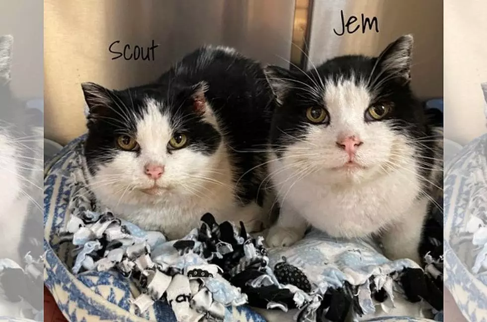 Paws and Claws Humane Society