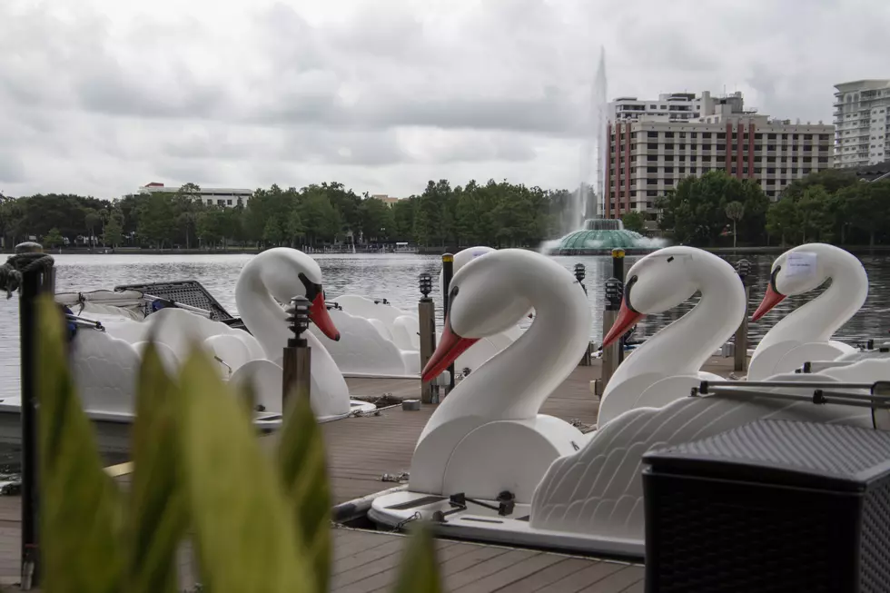 New Graceful Swan Boats Hitting Minnesota Lakes this Summer
