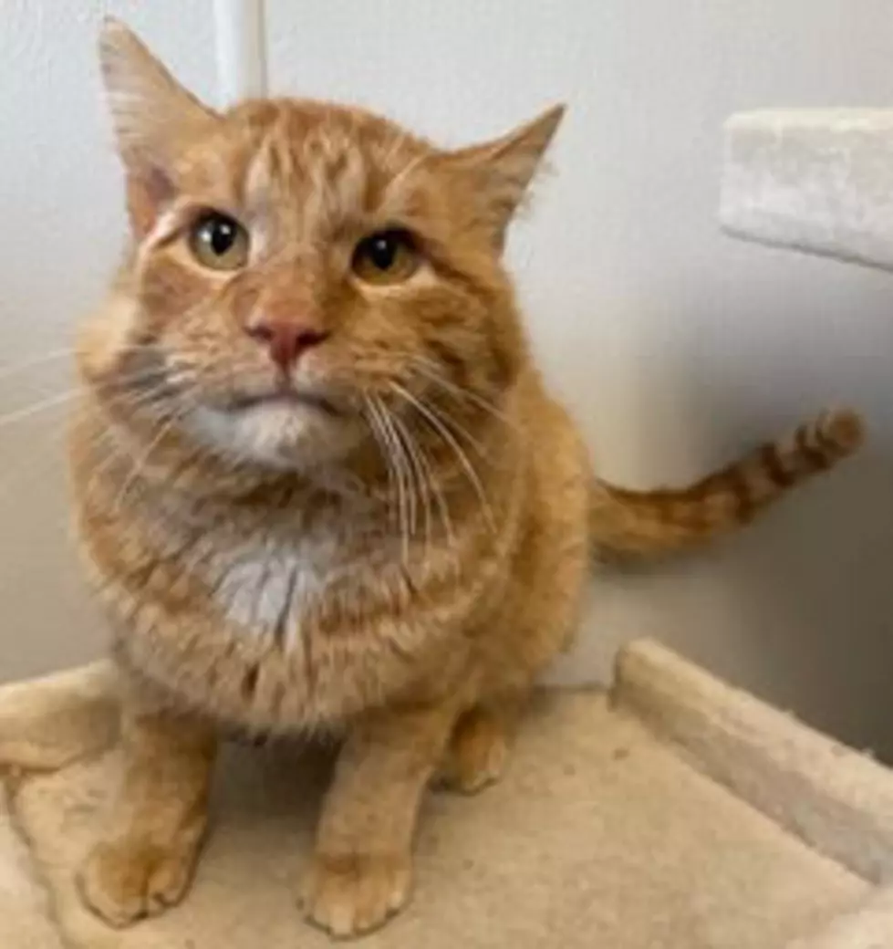 Paws and Claws Humane Society
