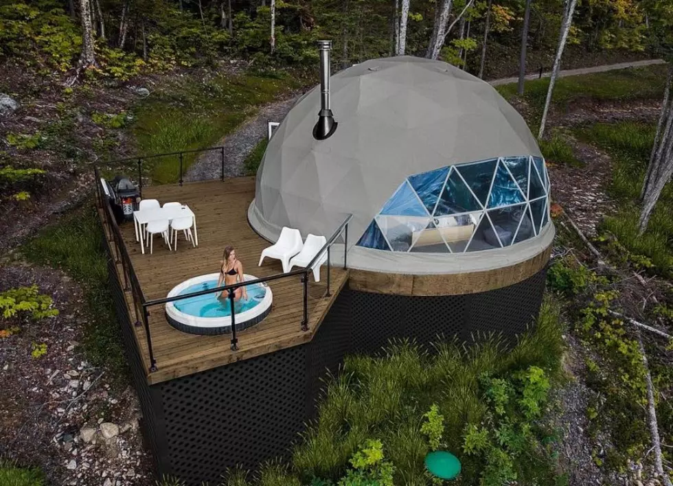 Luxury Resort to Build Dome and Treehouse Cabins Along Lake Superior