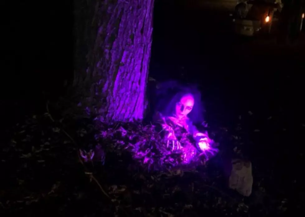 Rochester Family Invites Everyone To See Their Massive Halloween Display