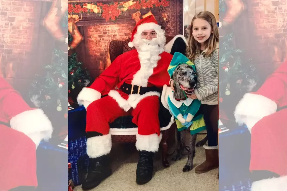 Where to Get Santa Photos with Your Pets in Rochester