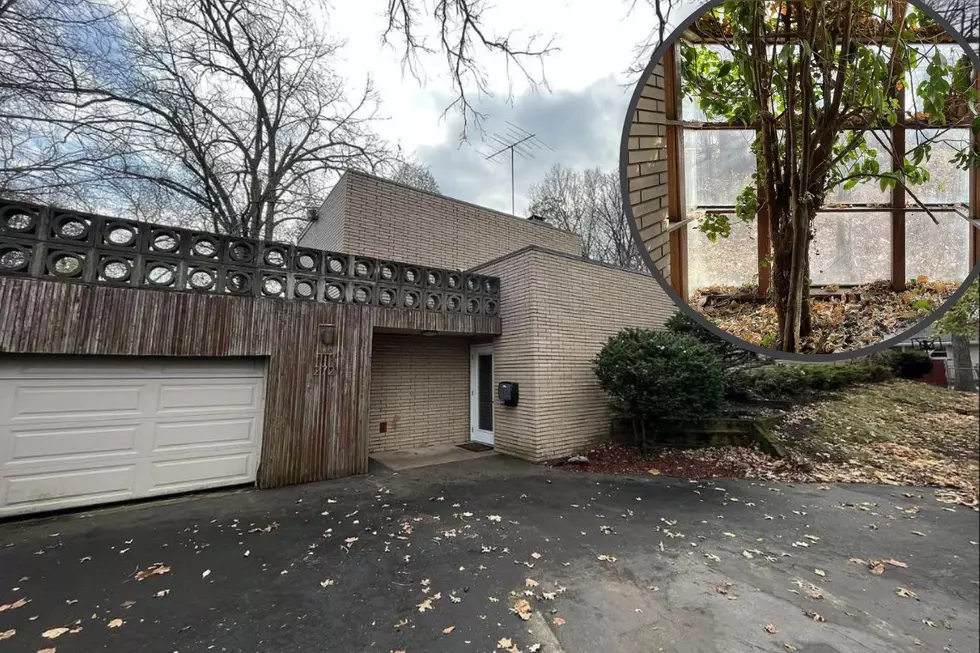 A Tree is Growing in the Middle of this Beautifully Unique Wisconsin Home