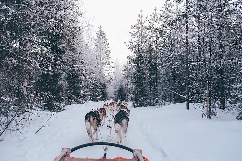 Wisconsin Man, 50th Iditarod Winner, has Deep Ties to the Famous Race