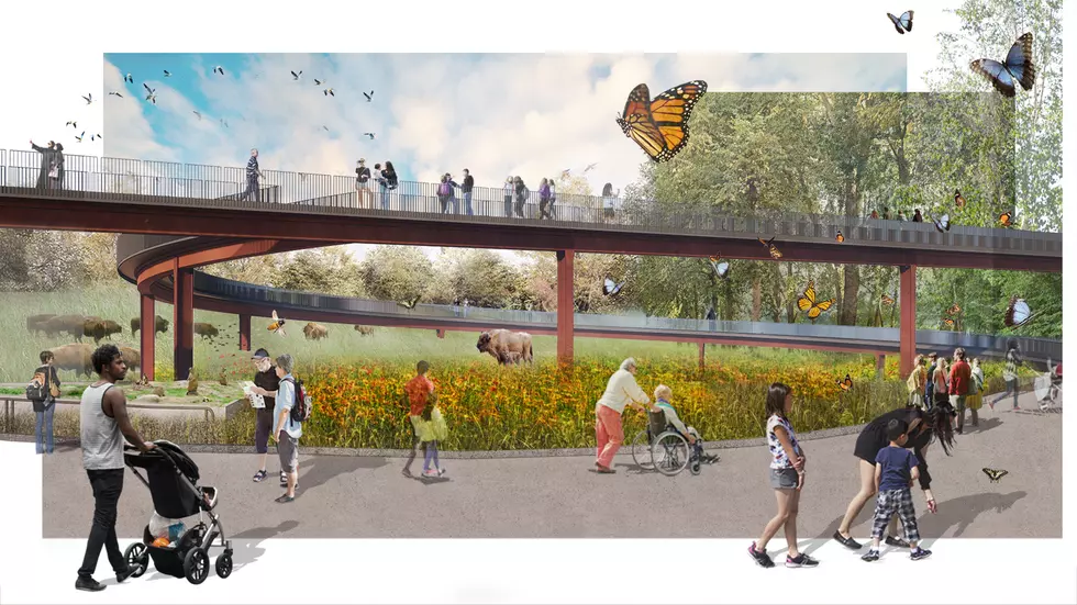 mock up for the minnesota zoo treetop trail