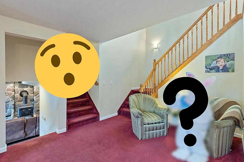 Rochester, NY Home for Sale Has a Surprise Guest in its Photos