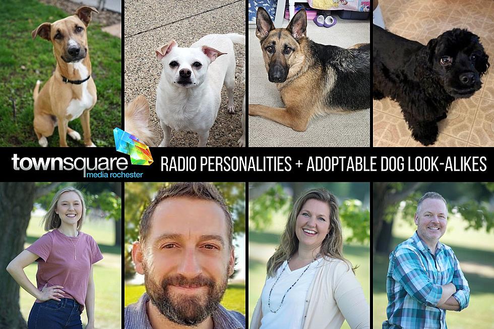 Adoptable Rochester, MN Dogs and Their Radio Personality Look-Alikes