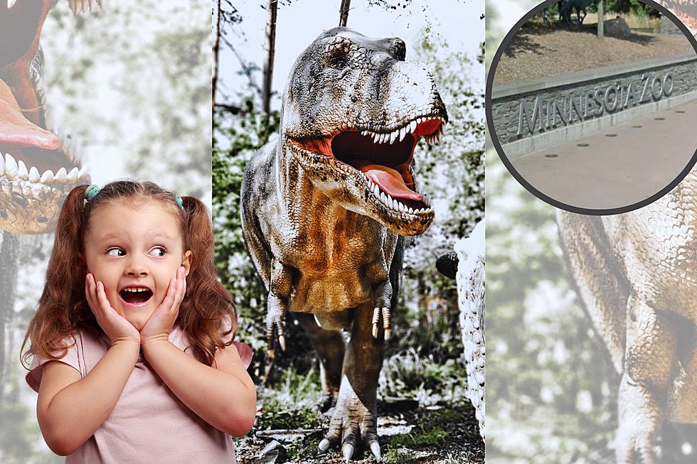 Visit Dinosaurs at the Minnesota Zoo for a Limited Time