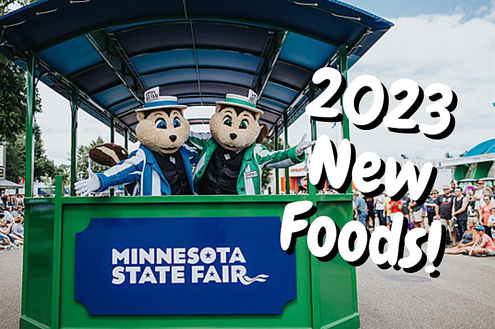All 34 New Foods at this Years Minnesota State Fair