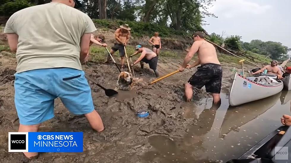 Lucky Dog Rescued by Unlikely Group on Minnesota River