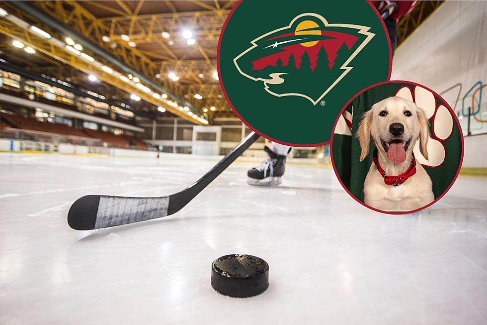 Minnesota Wild Introduce Us to Their Adorable New Team Puppy